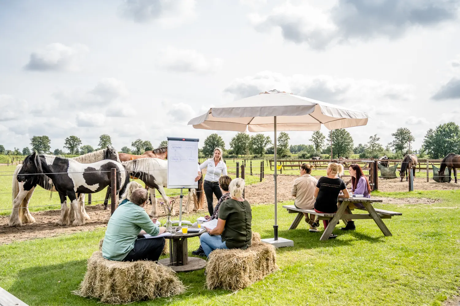 ZorgboerderijvanderWijst-29 team coaching