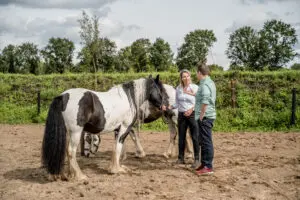 ZorgboerderijvanderWijst-40